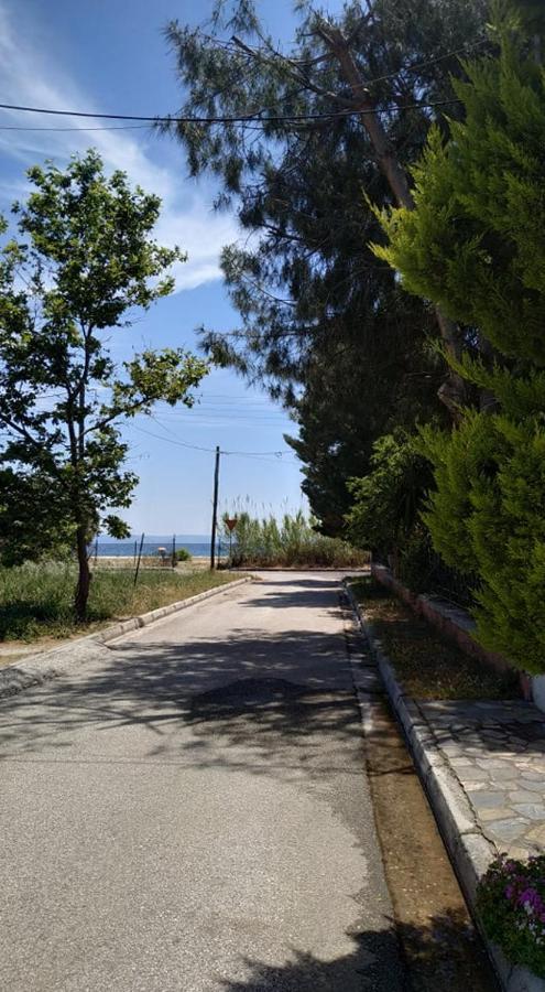 Near The Sea, Apartment *